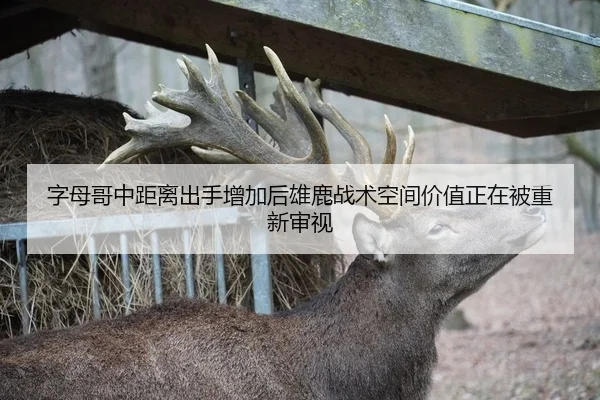 字母哥中距离出手增加后雄鹿战术空间价值正在被重新审视